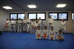 Dojo Cup 2014 und Weihnachtsfeier