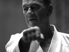 2011-06-26-hans-karl-442 Kopie