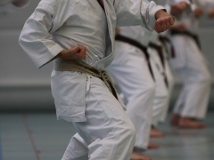 2010-05-29-fugazza-kr-330