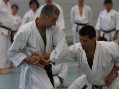 2010-05-29-fugazza-kr-401