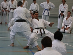 2010-05-29-fugazza-kr-405