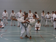 2010-05-29-fugazza-kr-473