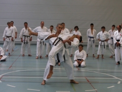 2010-05-29-fugazza-kr-474