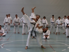 2010-05-29-fugazza-kr-476