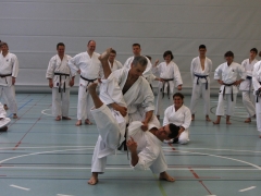 2010-05-29-fugazza-kr-481