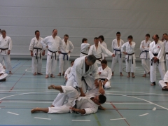 2010-05-29-fugazza-kr-482