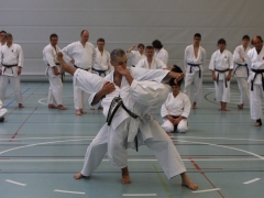 2010-05-29-fugazza-kr-490