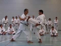 2010-05-29-fugazza-kr-495