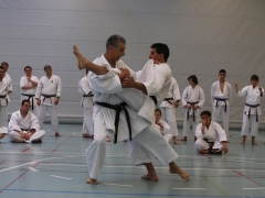 2010-05-29-fugazza-kr-496