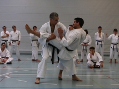 2010-05-29-fugazza-kr-497