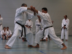 2010-05-29-fugazza-kr-618