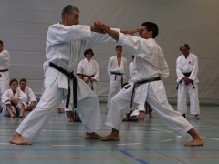 2010-05-29-fugazza-kr-619