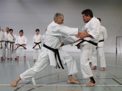 2017-03-26-fugazza-212