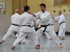 2017-03-26-fugazza-645