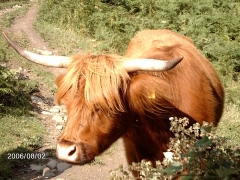 gasshuku2006-01 - Kopie