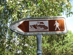 2016-08-gasshuku-337