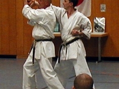 hanskarl-2002-111-n1