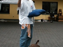 hanskarl-2002-154-n1