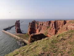 2010-04-helgoland-09