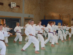 2011-05-08-helgoland-1109