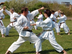 2011-05-08-helgoland-1292