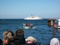 2011-05-08-helgoland-1384
