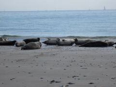 2012-05-04-helgoland-web-002