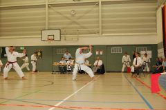 JKA Cup 2006