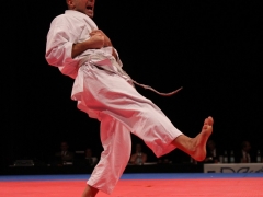 2010-03-27-em-finale-2-0372