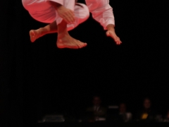 2010-03-27-em-finale-2-0385