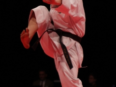 2010-03-27-em-finale-2-0503