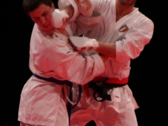 2010-03-27-em-finale-2-1112