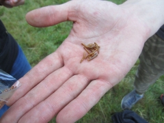 2018-06-17-kidscamp-201_ergebnis