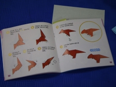 2013-11-02-kidscamp-dojo-037