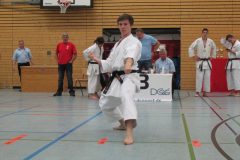 Landesmeisterschaft 2011