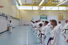Lehrgang mit AKITA Sensei beim Nakayama Krefeld 2025