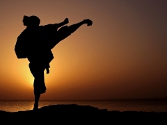 malle-druckvorlage-leinwand