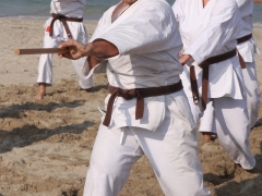 2009-09-26-malle-alex-570