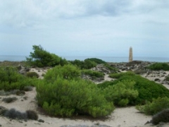 2010-09-24-mallorca-alex-019