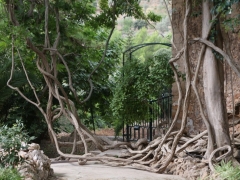 2010-09-24-mallorca-alex-378