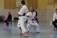 Nakayama Gedächtnis-Turnier 2011