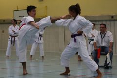 Nakayama Gedächtnisturnier 2012