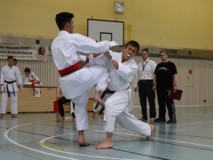 2015-06-20-ngt-2015-181