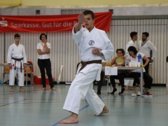 2015-06-20-ngt-2015-227