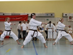 2015-06-20-ngt-2015-239