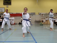 2015-06-20-ngt-2015-261