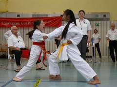 2015-06-20-ngt-2015-289