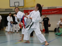 2015-06-20-ngt-2015-323