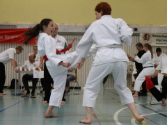 2015-06-20-ngt-2015-395