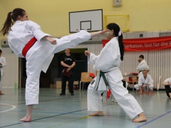 2015-06-20-ngt-2015-400